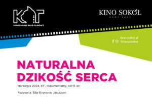 „Naturalna dzikość serca" w kinie Sokół w Nowym Sączu w ramach DKF KOT