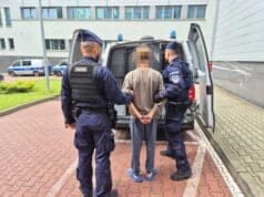 przestępstwa na Sądecczyźnie 2024 - policjanci wprowadzają podejrzanego do radiowozu