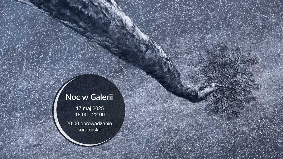 Noc Muzeów Stary Sącz 2025 - Galeria IMO
