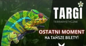 Exoticarium - targi terrarystyczne w Nowym Sączu, wrzesień 2025, bilety