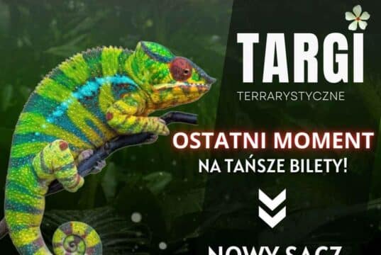 Exoticarium - targi terrarystyczne w Nowym Sączu, wrzesień 2025, bilety