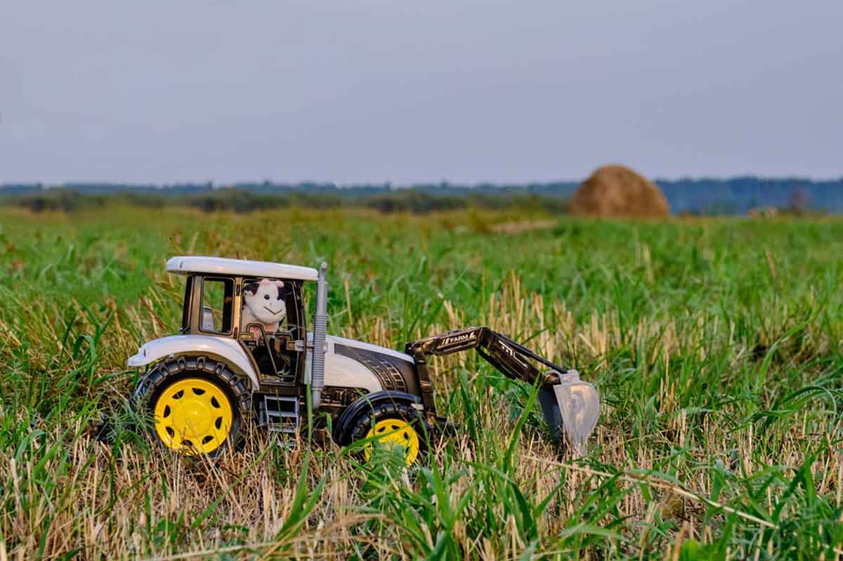 zabawki rolnicze dla dzieci - blaut-rol.pl