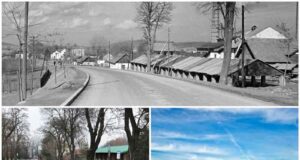 cegielnia zawada porównanie