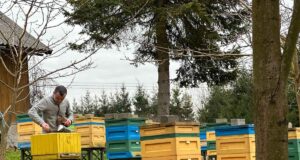 Janczosad - tu powstaje woskowa baz