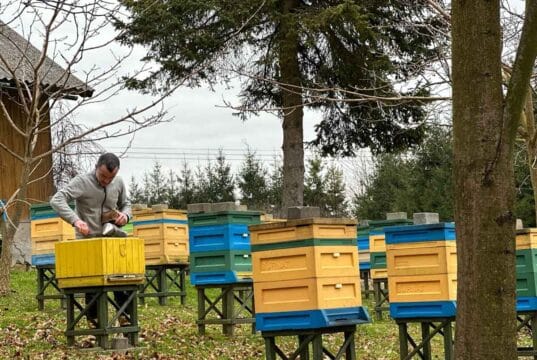 Janczosad - tu powstaje woskowa baz