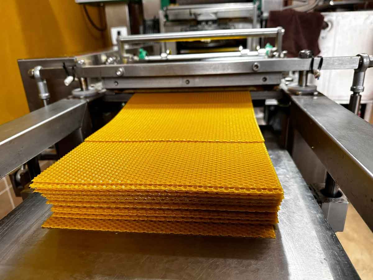 węza pszczela janczosad.pl