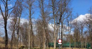 Park Strzelecki w Nowym Sączu - w pobliżu kortów tenisowych miał powstać park linowy