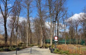 Park Strzelecki w Nowym Sączu - w pobliżu kortów tenisowych miał powstać park linowy