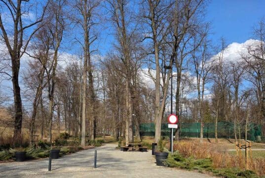 Park Strzelecki w Nowym Sączu - w pobliżu kortów tenisowych miał powstać park linowy