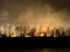 wypalanie traw i nieużytków na Sądecczyźnie 2026