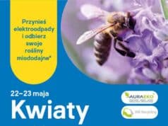Castorama - akcja Kwiaty za elektrograty 2026