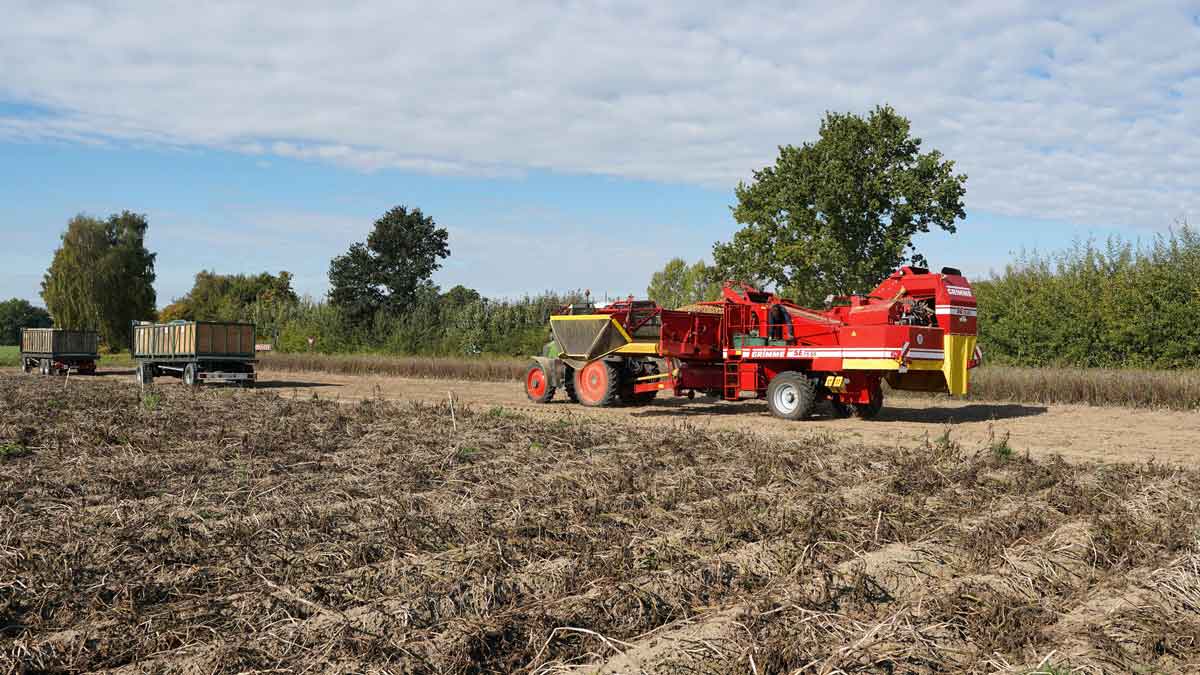 ochrona ziemniaka - rdest plamisty pod kontrolą. uprawa ziemniaków, maszyny rolnicze na polu