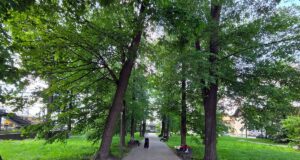 PKP sprzedały park przy dworcu kolejowym. Nabywca chce być anonimowy sprzedaż parku kolejowego w Nowym Sączu. nabywca chce być anonimowy