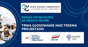Narada Obywatelska na Helenie - głosowanie