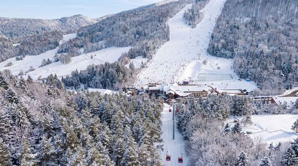 Grupa Polskie Koleje Linowe - kolejka Krynica Express - wizualizacja