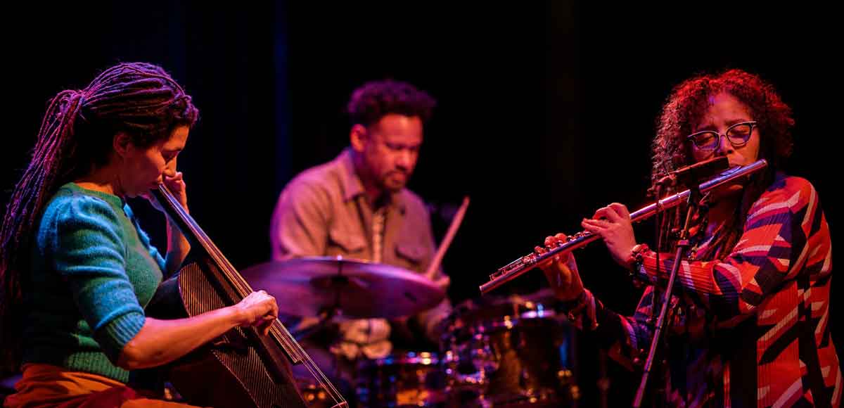 Jazz Artifacts Trio
