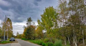 fragment ulicy Siedleckiego na osiedlu Zawada w Nowym Sączu